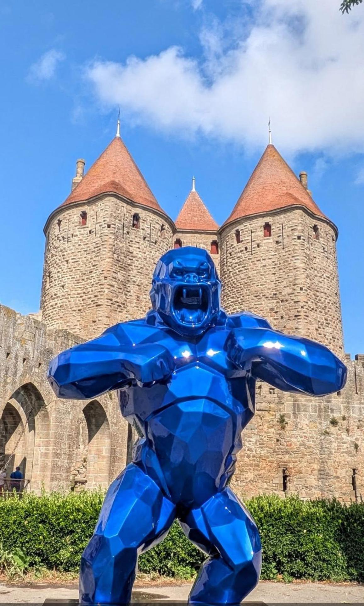 La Belle Etape A Apartment Carcassonne